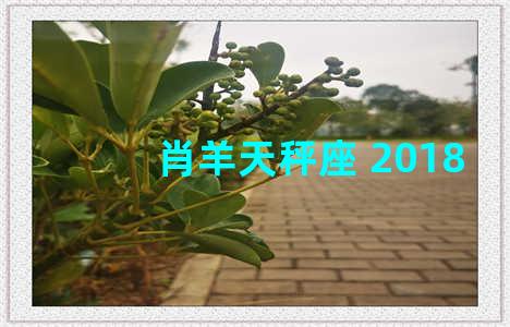 肖羊天秤座 2018